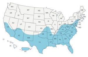 Geographic spread of Aedes aegypti mosquito, the main transmitter of Zika.